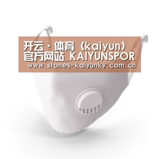N95 口罩