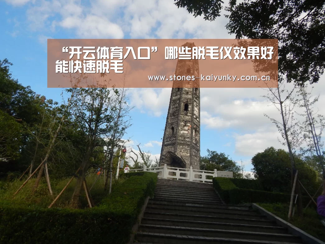 开云体育入口