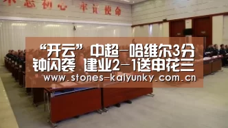 开云体育入口