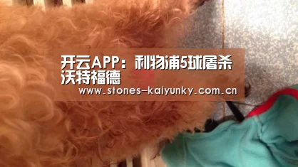 开云APP:利物浦5球屠杀沃特福德(图2) 开云APP